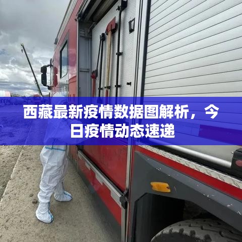 西藏最新疫情數(shù)據(jù)圖解析，今日疫情動(dòng)態(tài)速遞