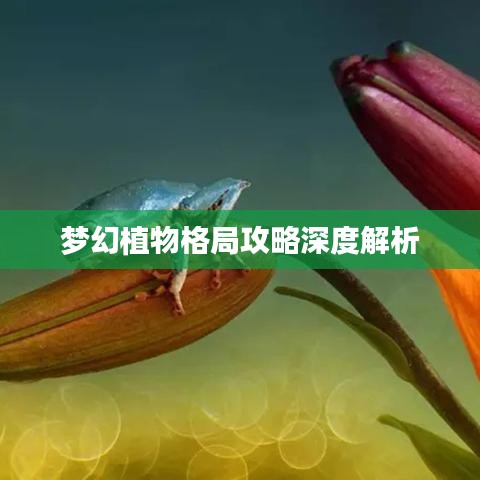 2025年2月13日 第2頁(yè)