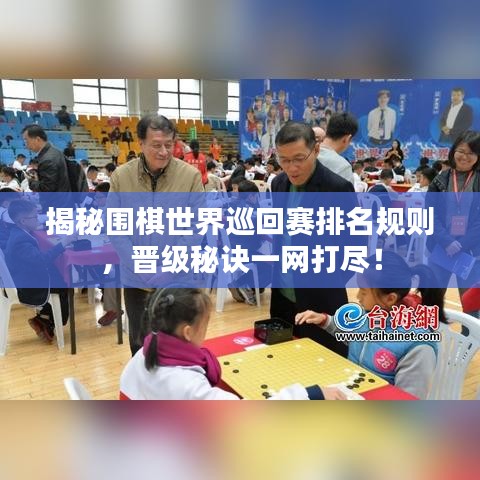 揭秘圍棋世界巡回賽排名規(guī)則，晉級(jí)秘訣一網(wǎng)打盡！