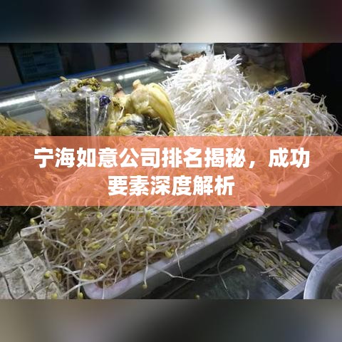 寧海如意公司排名揭秘，成功要素深度解析