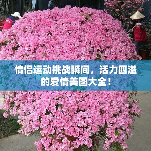 情侶運(yùn)動(dòng)挑戰(zhàn)瞬間，活力四溢的愛情美圖大全！