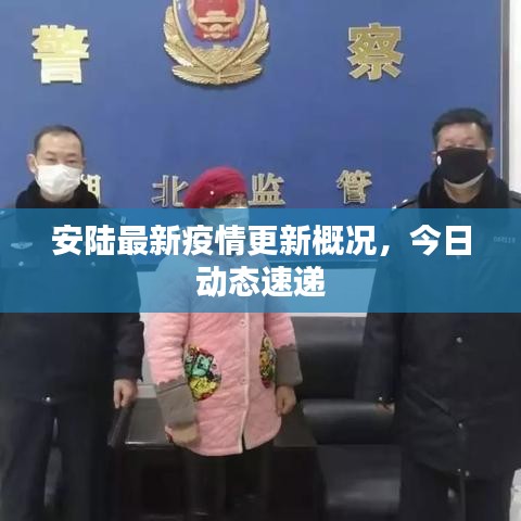 安陸最新疫情更新概況，今日動(dòng)態(tài)速遞