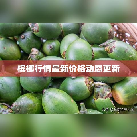檳榔行情最新價(jià)格動(dòng)態(tài)更新