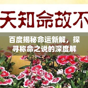 百度揭秘命運(yùn)新解，探尋稱命之說(shuō)的深度解讀