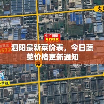 泗陽最新菜價表，今日蔬菜價格更新通知