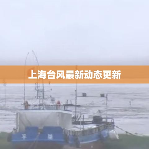 上海臺風(fēng)最新動態(tài)更新