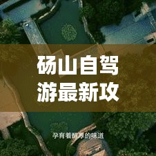 2025年3月1日 第3頁