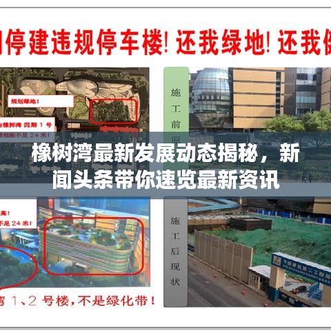 橡樹灣最新發(fā)展動(dòng)態(tài)揭秘，新聞?lì)^條帶你速覽最新資訊