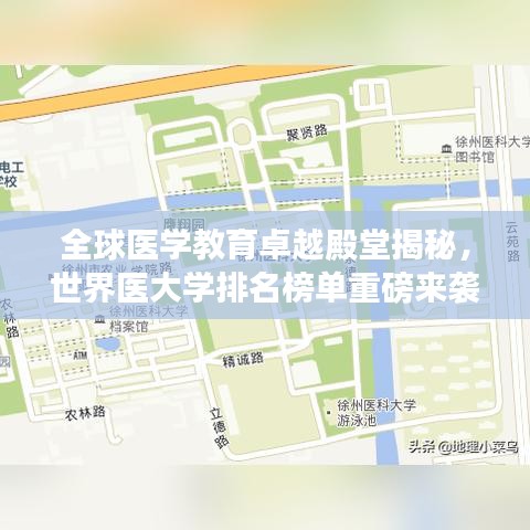 全球醫(yī)學(xué)教育卓越殿堂揭秘，世界醫(yī)大學(xué)排名榜單重磅來襲！