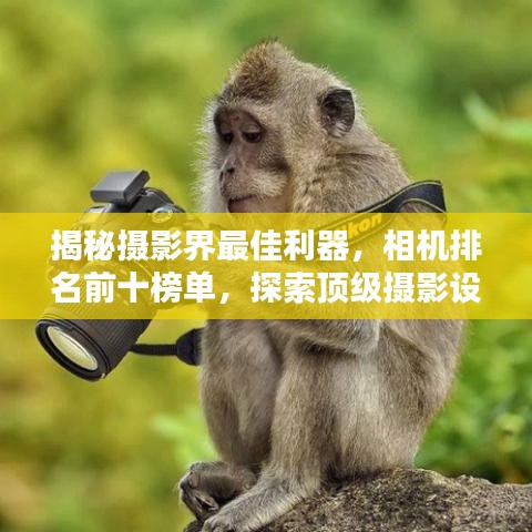 揭秘?cái)z影界最佳利器，相機(jī)排名前十榜單，探索頂級攝影設(shè)備精選列表！