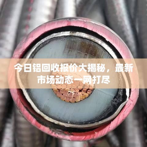 今日鋁回收報(bào)價(jià)大揭秘，最新市場動(dòng)態(tài)一網(wǎng)打盡