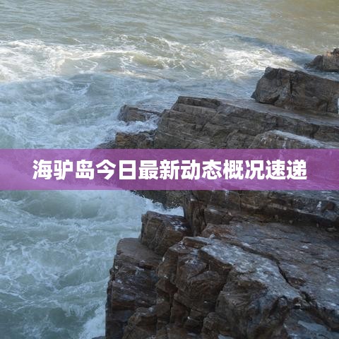 海驢島今日最新動(dòng)態(tài)概況速遞