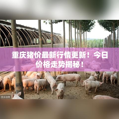 重慶豬價(jià)最新行情更新！今日價(jià)格走勢揭秘！