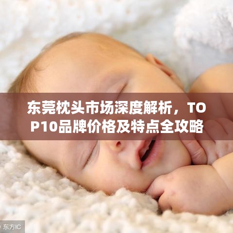 東莞枕頭市場深度解析，TOP10品牌價格及特點全攻略