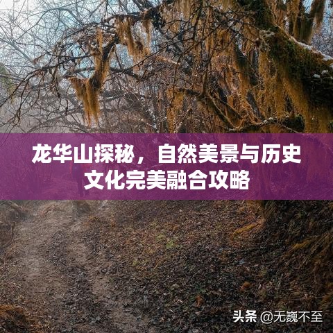 龍華山探秘，自然美景與歷史文化完美融合攻略