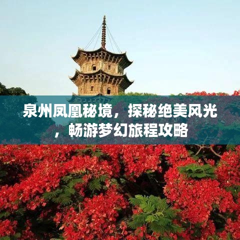 泉州鳳凰秘境，探秘絕美風(fēng)光，暢游夢(mèng)幻旅程攻略
