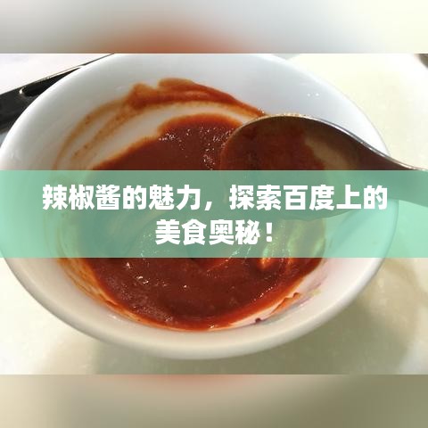 辣椒醬的魅力，探索百度上的美食奧秘！
