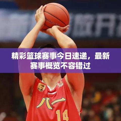精彩籃球賽事今日速遞，最新賽事概覽不容錯(cuò)過