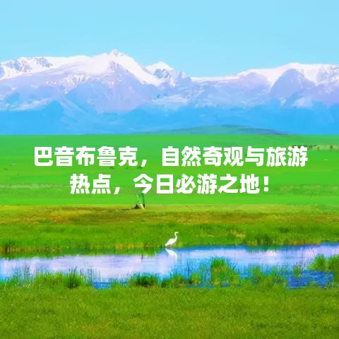 巴音布魯克，自然奇觀與旅游熱點(diǎn)，今日必游之地！