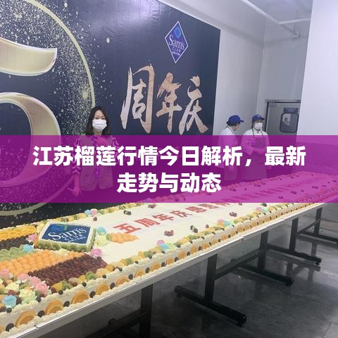江蘇榴蓮行情今日解析，最新走勢與動態(tài)