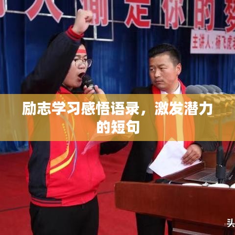 勵志學(xué)習(xí)感悟語錄，激發(fā)潛力的短句