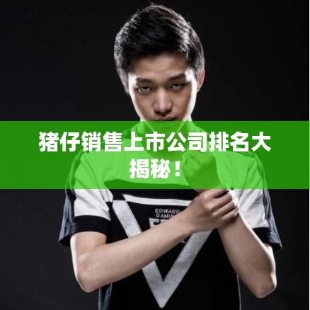 豬仔銷售上市公司排名大揭秘！