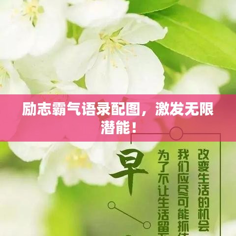 2025年3月15日