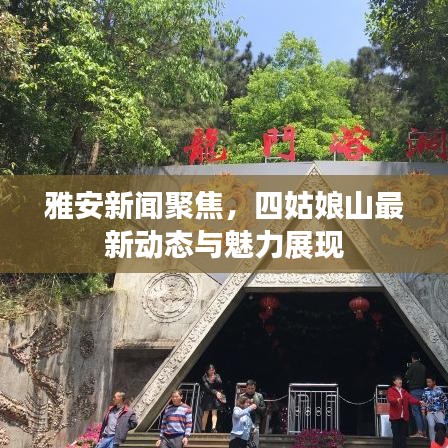 雅安新聞聚焦，四姑娘山最新動態(tài)與魅力展現(xiàn)