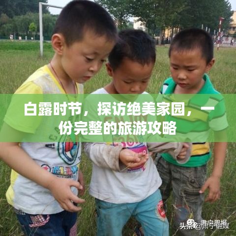 白露時節(jié)，探訪絕美家園，一份完整的旅游攻略