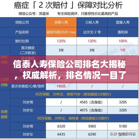 信泰人壽保險公司排名大揭秘，權威解析，排名情況一目了然！