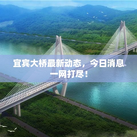 包裝設(shè)計(jì)