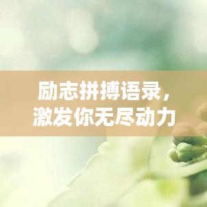 勵(lì)志拼搏語錄，激發(fā)你無盡動(dòng)力！