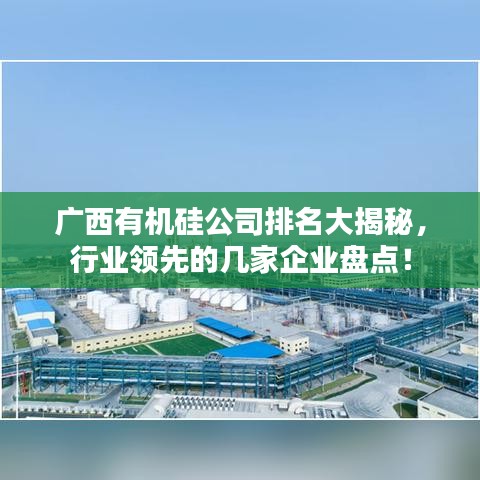 廣西有機(jī)硅公司排名大揭秘，行業(yè)領(lǐng)先的幾家企業(yè)盤點(diǎn)！