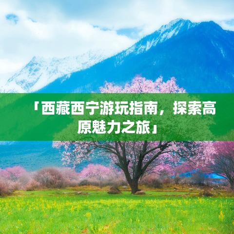 「西藏西寧游玩指南，探索高原魅力之旅」