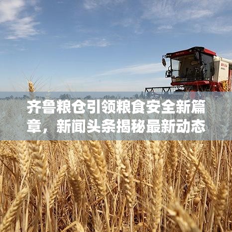 齊魯糧倉引領(lǐng)糧食安全新篇章，新聞頭條揭秘最新動態(tài)