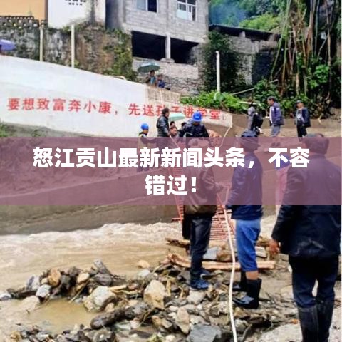 怒江貢山最新新聞頭條，不容錯過！