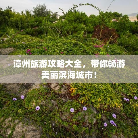 漳州旅游攻略大全，帶你暢游美麗濱海城市！