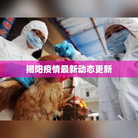 揭陽疫情最新動(dòng)態(tài)更新
