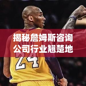 揭秘詹姆斯咨詢公司行業(yè)翹楚地位的成功秘訣！