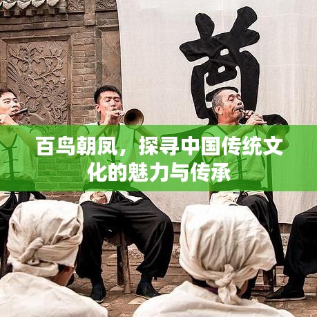 百鳥朝鳳，探尋中國傳統(tǒng)文化的魅力與傳承