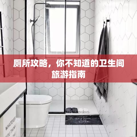 廁所攻略，你不知道的衛(wèi)生間旅游指南