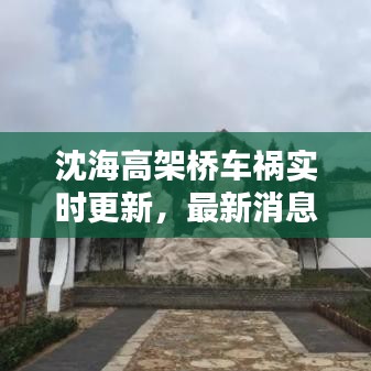沈海高架橋車禍實(shí)時(shí)更新，最新消息匯總