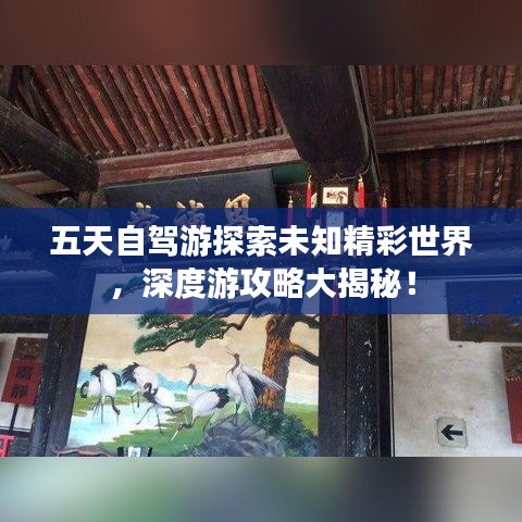 五天自駕游探索未知精彩世界，深度游攻略大揭秘！