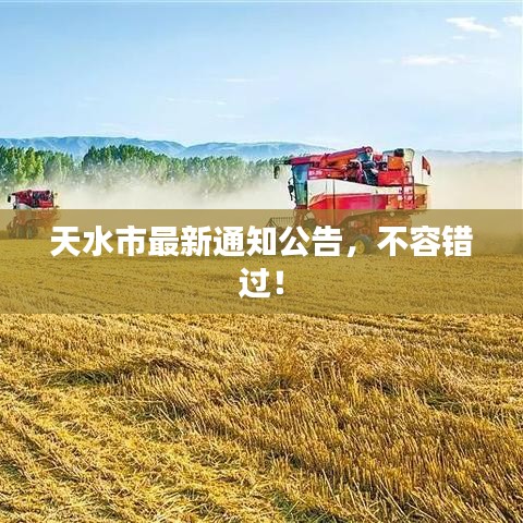 2025年4月 第19頁