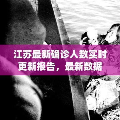 江蘇最新確診人數(shù)實時更新報告，最新數(shù)據(jù)揭秘