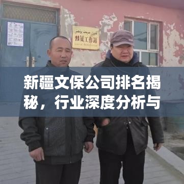 新疆文保公司排名揭秘，行業(yè)深度分析與前景展望