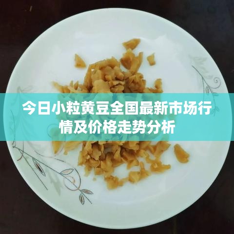 今日小粒黃豆全國(guó)最新市場(chǎng)行情及價(jià)格走勢(shì)分析