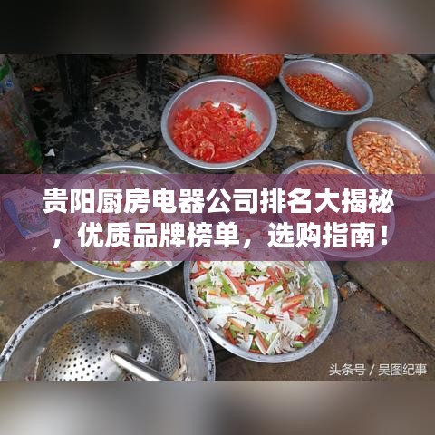 貴陽(yáng)廚房電器公司排名大揭秘，優(yōu)質(zhì)品牌榜單，選購(gòu)指南！