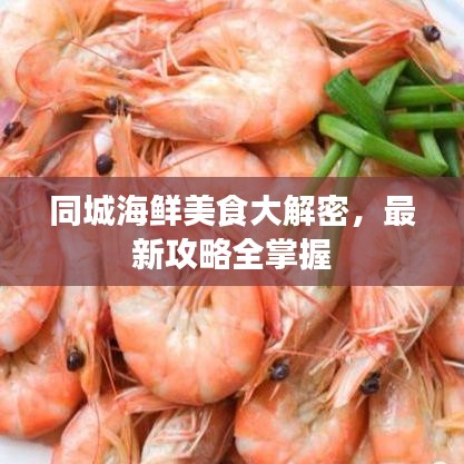 同城海鮮美食大解密，最新攻略全掌握