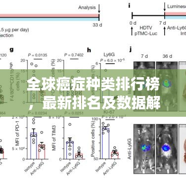 全球癌癥種類排行榜，最新排名及數(shù)據(jù)解析